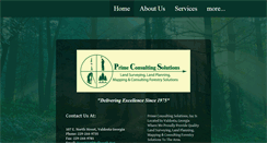 Desktop Screenshot of primeconsultingsolutions.com