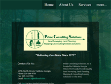 Tablet Screenshot of primeconsultingsolutions.com